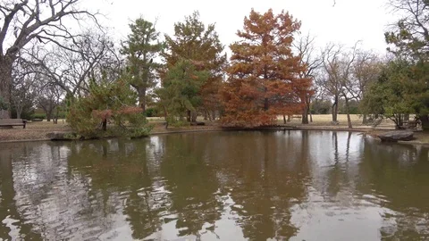Public park at autumn. Stock Footage 99409434