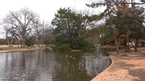 Public park at autumn. Stock Footage 99409606