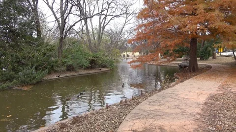 Public park at autumn. Stock Footage 99409624
