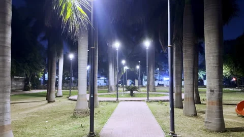Public Park During Night Stock Footage 330668436