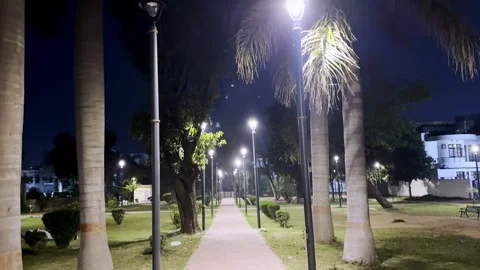 Public Park During Night 스톡 동영상 330668701