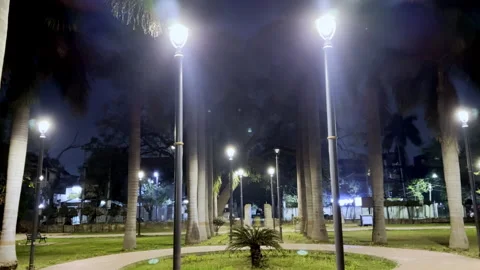 Public Park During Night Stock Footage 330669010