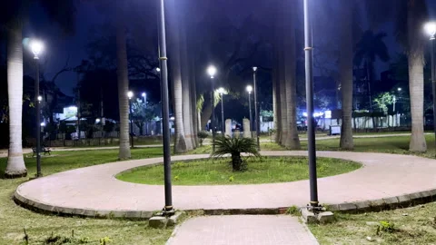 Public Park During Night Video stock 330669088