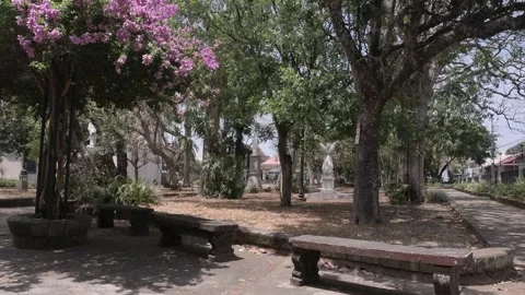 Public Park Stock Footage 269740601