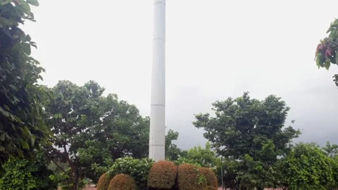 Public park Stock Footage 316143852