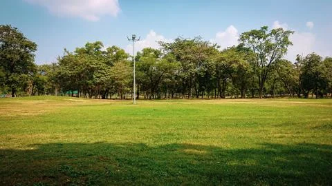 Public park with green grass , tropical tree and sky background Stock Photos