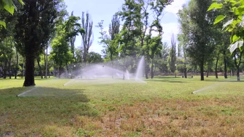 In a public park on the lawn, an automatic grass irrigation system works. Sprink Stock Footage 134440297