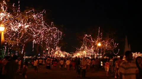 Public park at night Vidéo 10202903