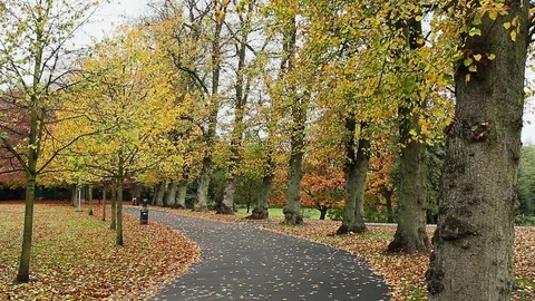 Public Park, path Stock Footage 74150083