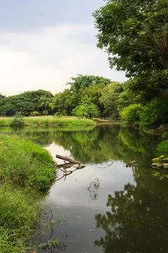 Public park Stock Photos