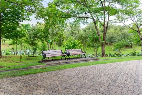 Public park Stock Photos