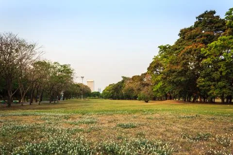 Public park Stock Photos