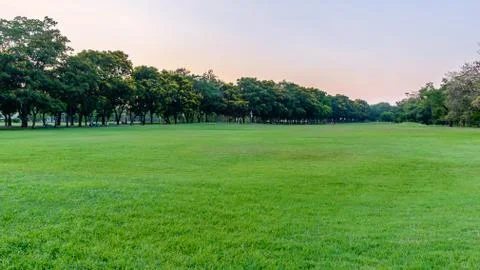 Public park Foto stock