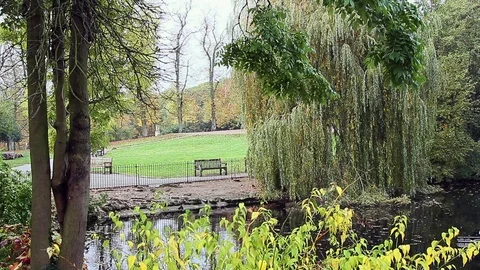 Public Park, Pond Stock Footage 74150057