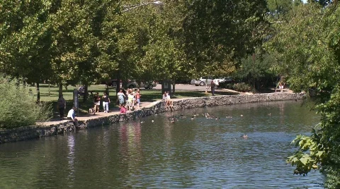 Public Park scene Stock Footage 846905