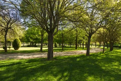 Public park in spring Stock Photos