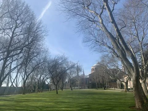 Public park in spring Stock Photos