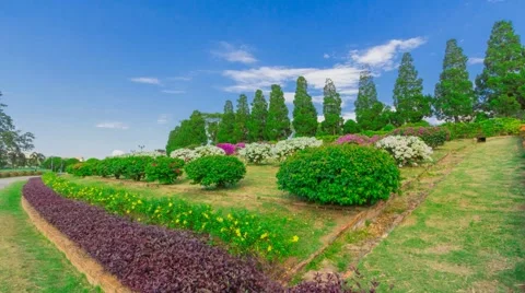 Public park in thailand Stock Footage 56258582