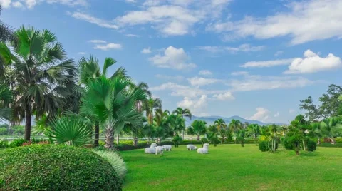 Public park in thailand Stock Footage 56258844
