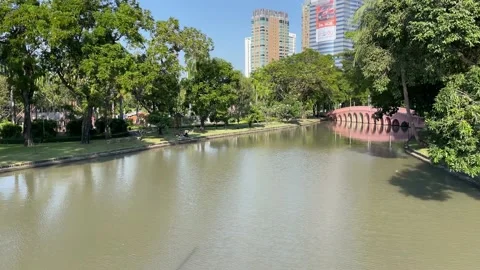 Public park view, blue sky landscape view, trees - tracking shot on a sunny day Stock Footage 176905376