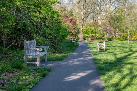 Public park walking path with grass trees and empty wooden benches Stock-Fotos