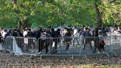 Public queue to see Queen lying in state on final day ahead of Monday's funeral Stock Footage 272909788