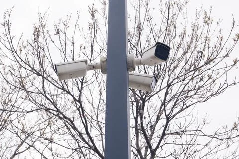 Public security system with CCTV cameras and trees in view Stock Photos