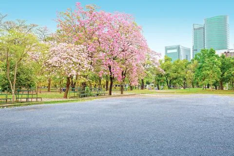 Public square with empty road floor in downtown Stock Photos