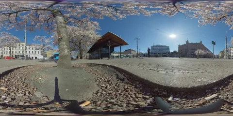 Public Square, Spring Blossom and Tram Trolley View - 360 VR Stock Footage 131502245