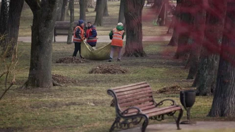 Public utility workers rake leaves and dry grass on the lawn of a city park Stock Footage 304576624