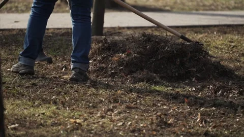 Public utility workers rake leaves and dry grass on the lawn of a city park Stock Footage 304576936