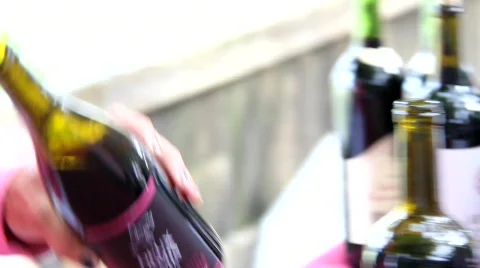 Public Wine Show  Stock Footage 755697