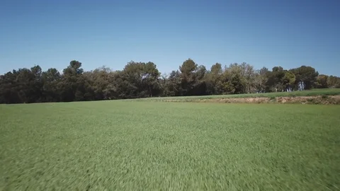 Pubol pyrenees Stock Footage 89348524