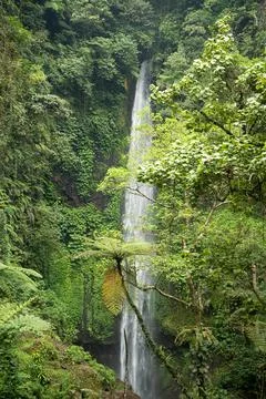 Pucak Manik Waterfall Full View with Lush Green Jungle, Buleleng Bali Stock Photos