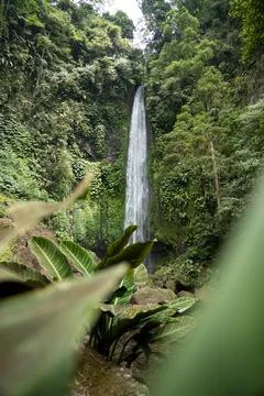 Pucak Manik Waterfall Seen Through Tropical Leaves, Bali Indonesia Stock Photos