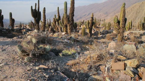 Pucara Fortification 스톡 동영상 885097