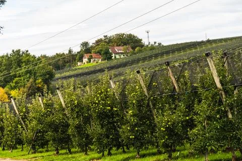 Puch bei Weiz town on apple street famous for apple orchards in region Styria Stock Photos