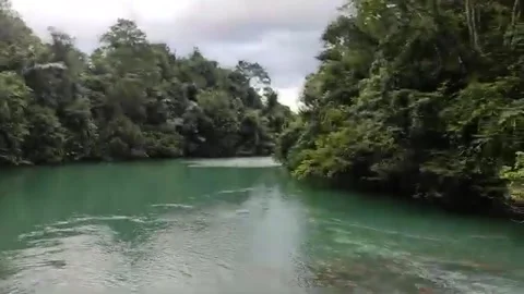 Pucok+Krueng Stock Footage 296745515