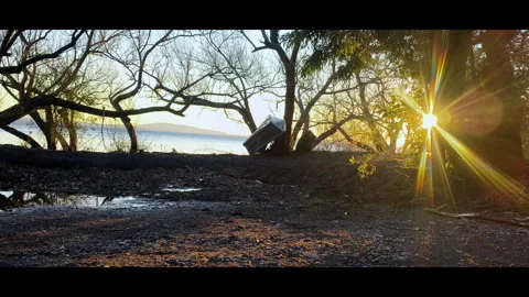 Pucón Nature 4K Vidéo 344989469