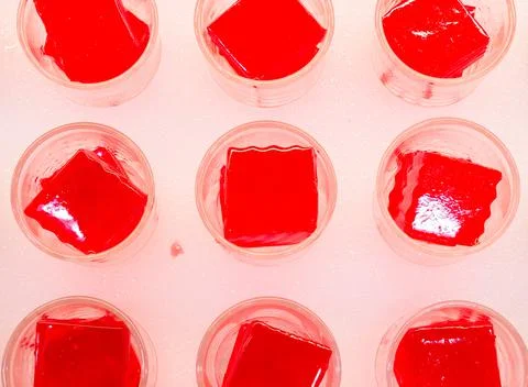 Pudding with white ice background Stock Photos