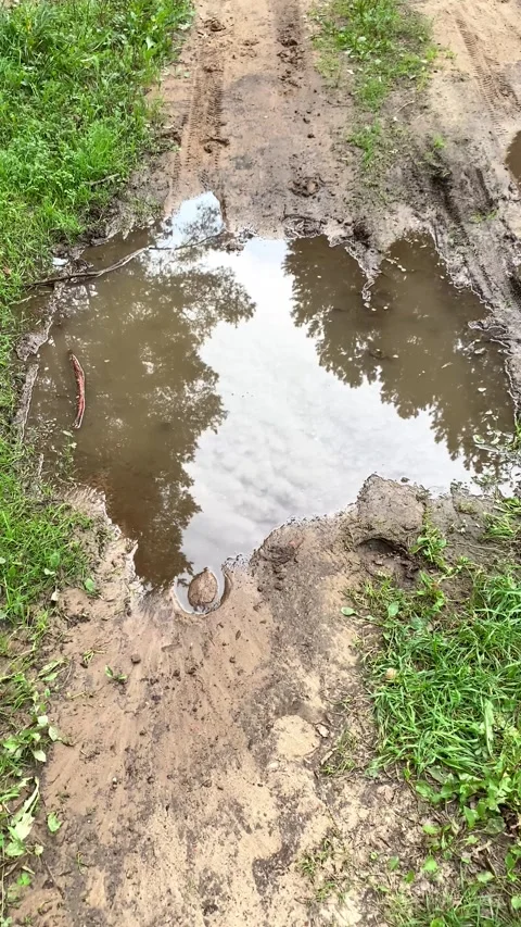 Puddle after rain on the sand. Vertical video Stock Footage 283999505