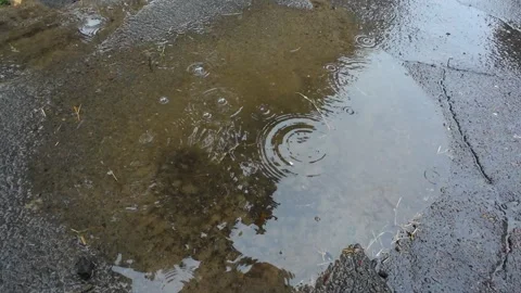 A puddle and falling drops of water during rain. Stock Footage 316520658