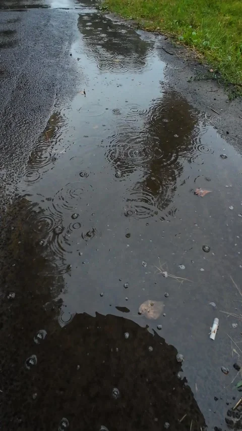 A puddle and falling drops of water during rain. Vertical video. Video stock 316520941