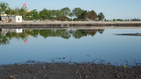 Puddle and reflection Stock Footage 241349827