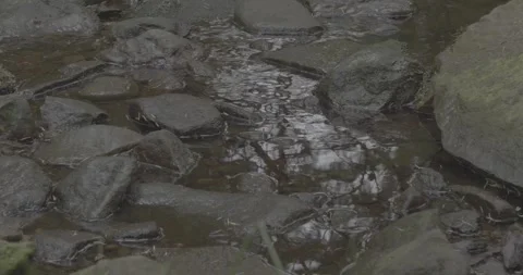 Puddle and rocks, 24fps, 4k, VLOG profile, b-roll footage Stock Footage 277231712