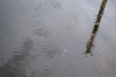 A puddle with circles from raindrops. Stock Photos