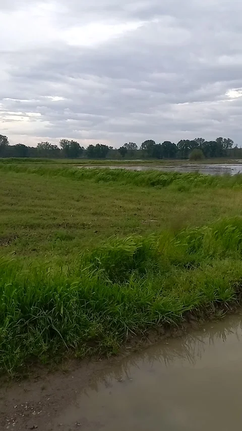 Puddle in the country path Stock Footage 307099728