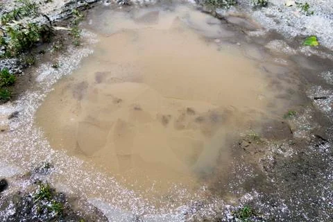 The puddle is covered with ice. Stock Photos
