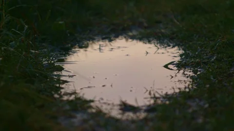 Puddle, darkness, close up, 4K Stock Footage 80201430