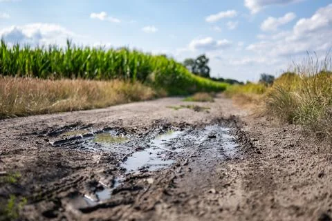 Puddle on dirt road in middle of meadows and fields rural landscape Stockfoto's